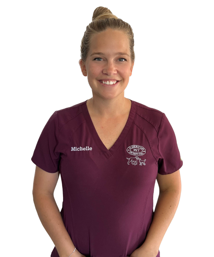 Meet Our Team in Ilderton, ON Ilderton Pet Hospital