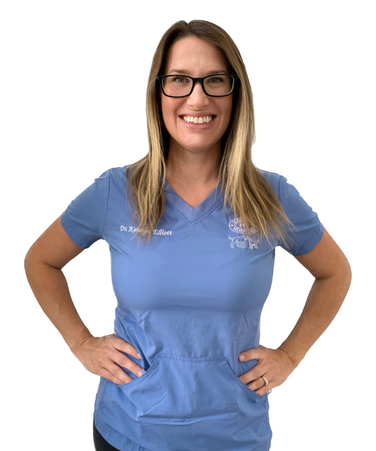 Meet Our Team in Ilderton, ON Ilderton Pet Hospital