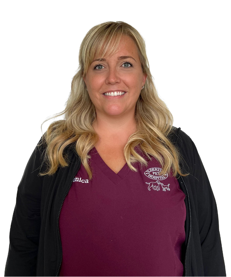 Meet Our Team in Ilderton, ON Ilderton Pet Hospital