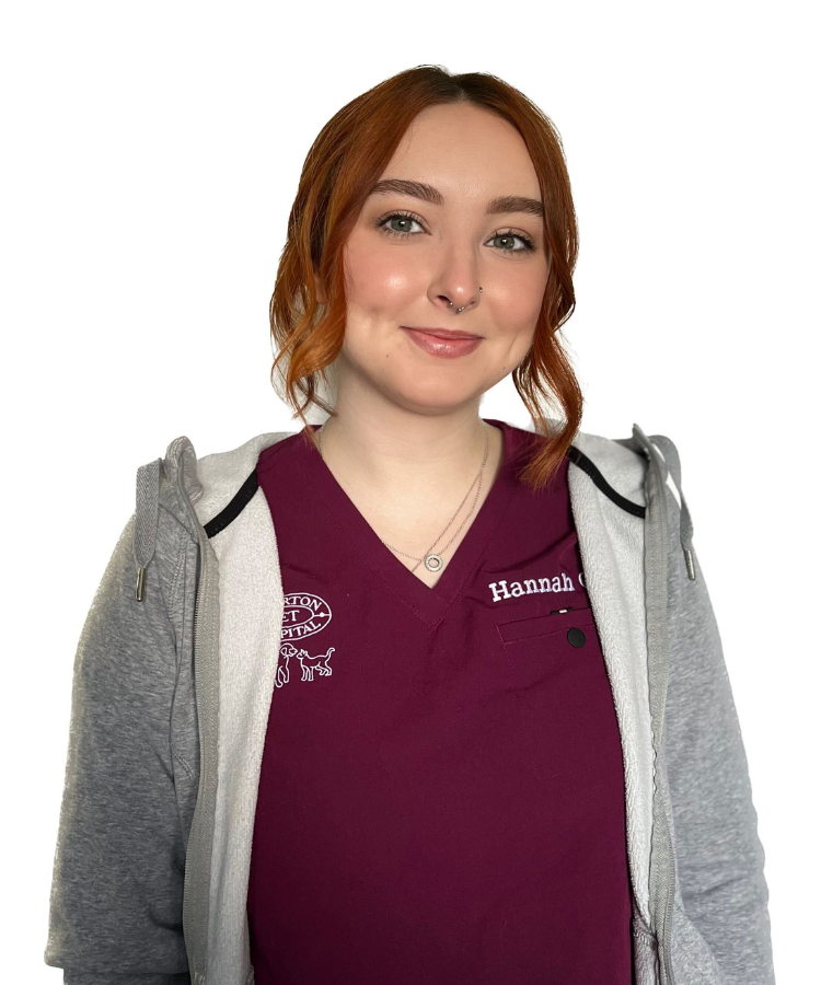 Meet Our Team in Ilderton, ON Ilderton Pet Hospital